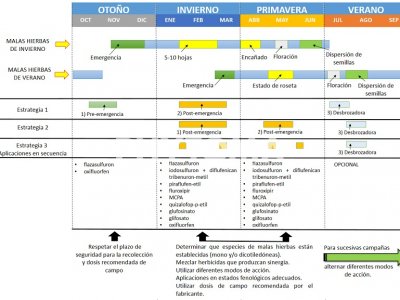 Control integrado de malas hierbas 
